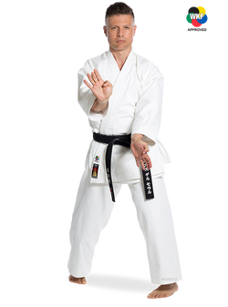 KARATEGI NEW SENSEI