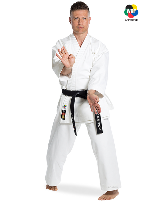 KARATEGI NEW SENSEI