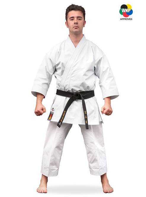 KARATEGI BUNKAI MASTER