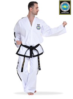 ITF APPROVED DOBOK INTERNATIONAL INSTRUCTOR & MASTER (SARGA)